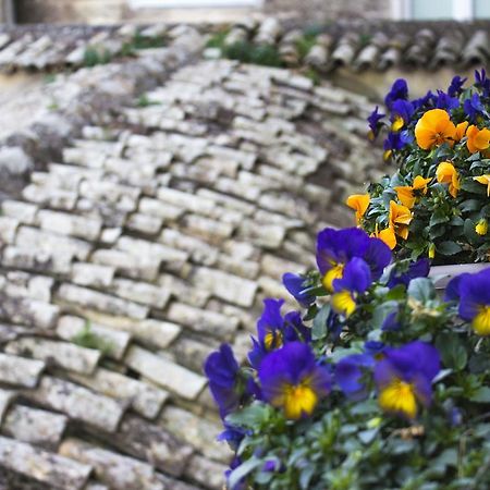マテーラ Le Violetteヴィラ エクステリア 写真