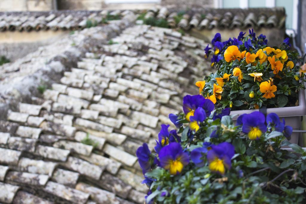 マテーラ Le Violetteヴィラ エクステリア 写真